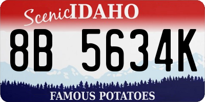 ID license plate 8B5634K