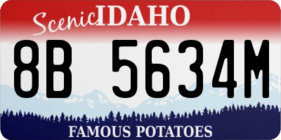 ID license plate 8B5634M