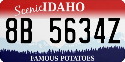 ID license plate 8B5634Z
