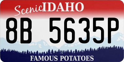 ID license plate 8B5635P