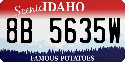 ID license plate 8B5635W