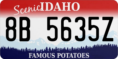 ID license plate 8B5635Z