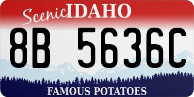 ID license plate 8B5636C