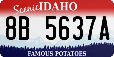 ID license plate 8B5637A