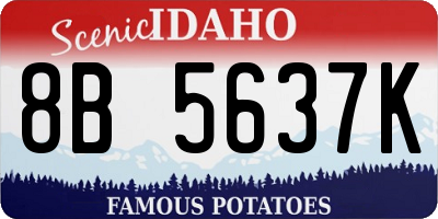 ID license plate 8B5637K