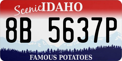 ID license plate 8B5637P