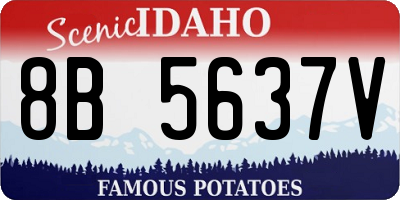 ID license plate 8B5637V