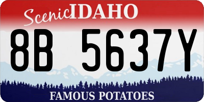 ID license plate 8B5637Y