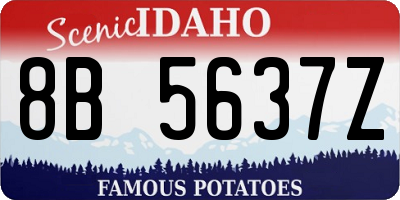ID license plate 8B5637Z