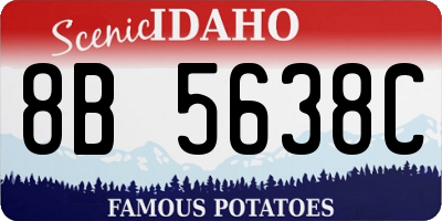 ID license plate 8B5638C