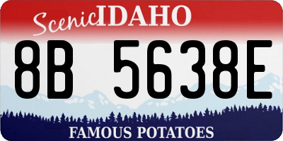 ID license plate 8B5638E