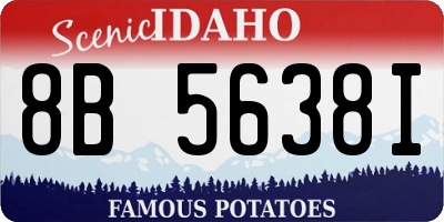 ID license plate 8B5638I