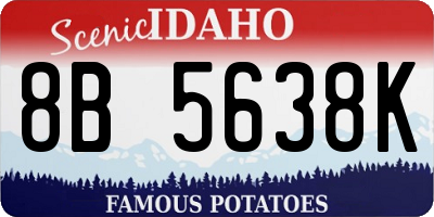 ID license plate 8B5638K