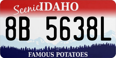 ID license plate 8B5638L