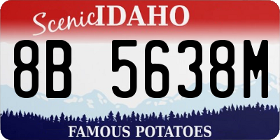 ID license plate 8B5638M