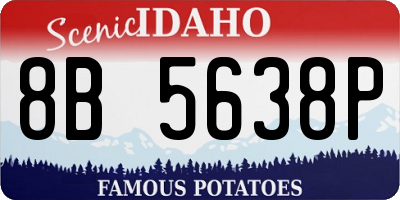 ID license plate 8B5638P