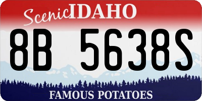 ID license plate 8B5638S
