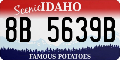 ID license plate 8B5639B