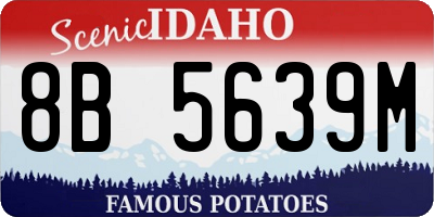 ID license plate 8B5639M