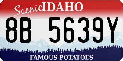 ID license plate 8B5639Y