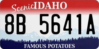 ID license plate 8B5641A