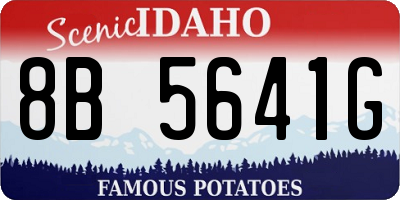 ID license plate 8B5641G