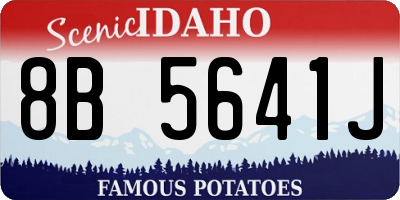 ID license plate 8B5641J
