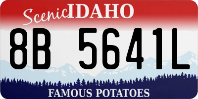 ID license plate 8B5641L