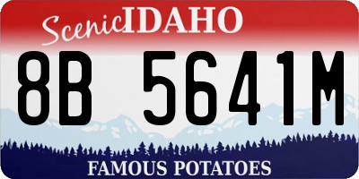 ID license plate 8B5641M