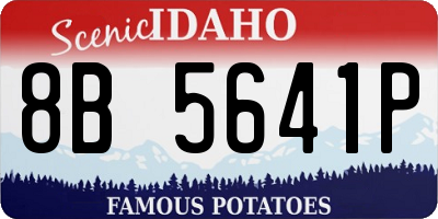 ID license plate 8B5641P