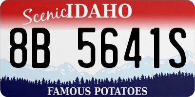 ID license plate 8B5641S