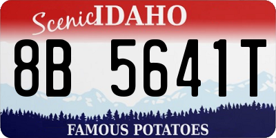 ID license plate 8B5641T