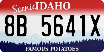 ID license plate 8B5641X