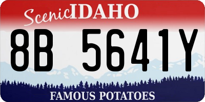 ID license plate 8B5641Y