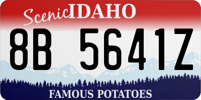 ID license plate 8B5641Z