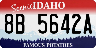 ID license plate 8B5642A