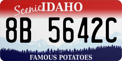 ID license plate 8B5642C