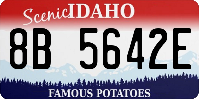 ID license plate 8B5642E