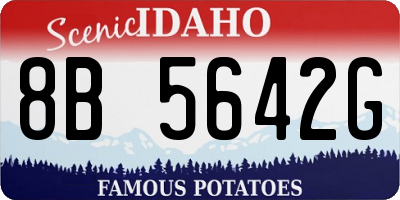 ID license plate 8B5642G
