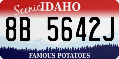 ID license plate 8B5642J
