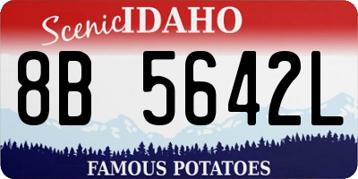 ID license plate 8B5642L