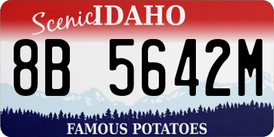 ID license plate 8B5642M