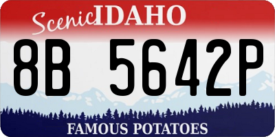 ID license plate 8B5642P