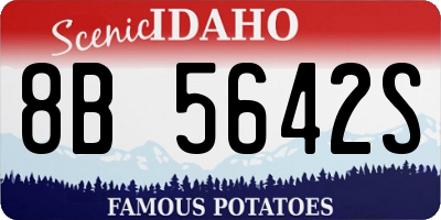 ID license plate 8B5642S