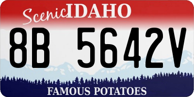 ID license plate 8B5642V