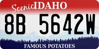 ID license plate 8B5642W