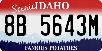 ID license plate 8B5643M