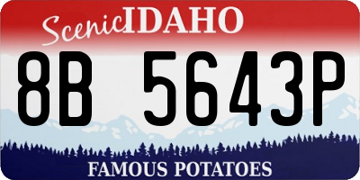 ID license plate 8B5643P