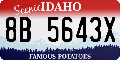 ID license plate 8B5643X