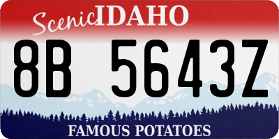 ID license plate 8B5643Z